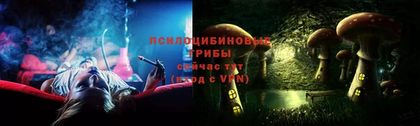 мдпв Заволжье